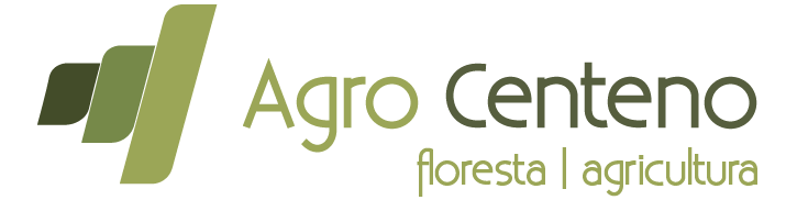logo-footer